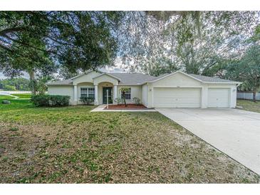 Photo one of 9302 Barrington Oaks Dr Dover FL 33527 | MLS T3500136