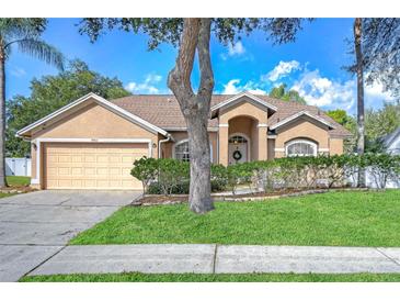 Photo one of 9703 Sunnyoak Dr Riverview FL 33569 | MLS T3500845