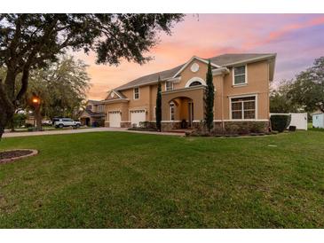 Photo one of 19926 Dolores Ann Ct Lutz FL 33549 | MLS T3500924