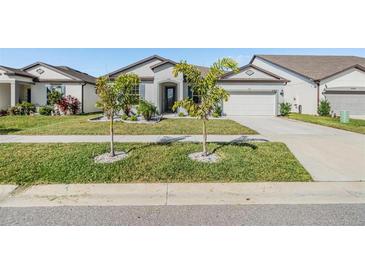 Photo one of 10907 Green Harvest Dr Riverview FL 33578 | MLS T3501150