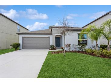 Photo one of 12811 N Wildflower Meadow Drive Riverview FL 33579 | MLS T3501469