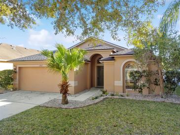 Photo one of 11407 Flora Springs Dr Riverview FL 33579 | MLS T3501658