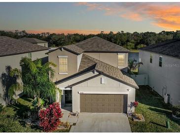 Photo one of 15508 Wicked Strong St Ruskin FL 33573 | MLS T3501824