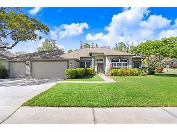 Photo one of 2116 Crooked Creek Way Valrico FL 33596 | MLS T3502459