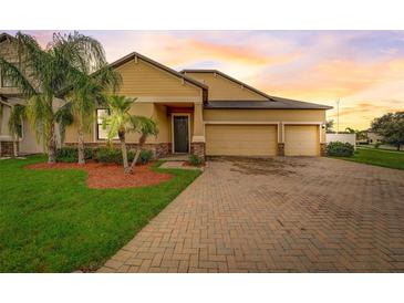 Photo one of 12801 Satin Lily Dr Riverview FL 33579 | MLS T3502593