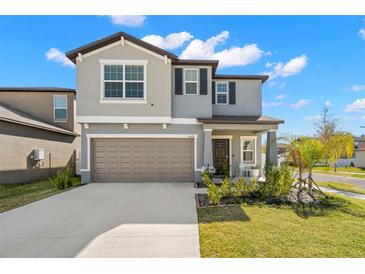 Photo one of 10369 Blue Plume Ct Riverview FL 33578 | MLS T3503068