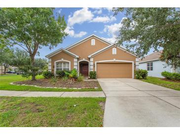 Photo one of 10328 Celtic Ash Dr Ruskin FL 33573 | MLS T3503371