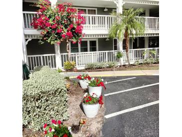Photo one of 2533 Dolly Bay Dr # 202 Palm Harbor FL 34684 | MLS T3504094