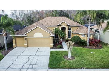 Photo one of 26604 Shoregrass Dr Wesley Chapel FL 33544 | MLS T3504480