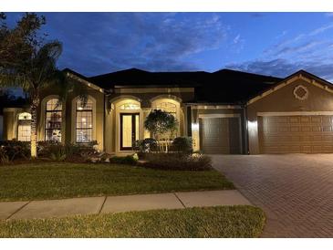 Photo one of 19414 Whispering Brook Dr Tampa FL 33647 | MLS T3504601