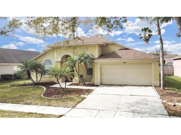 Photo one of 18016 Palm Breeze Dr Tampa FL 33647 | MLS T3505174