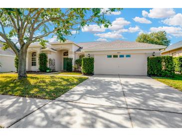 Photo one of 13654 Artesa Bell Dr Riverview FL 33579 | MLS T3505801