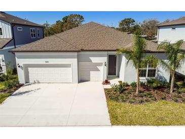 Photo one of 12113 Orchid Ash St Riverview FL 33579 | MLS T3506007