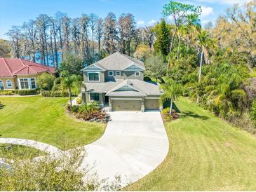 Photo one of 15620 Howell Park Ln Tampa FL 33625 | MLS T3507059