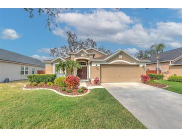 Photo one of 2622 Vinedale Ave Valrico FL 33596 | MLS T3507304