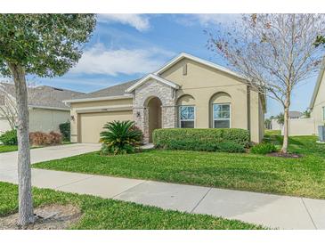 Photo one of 11944 Greenchop Pl Riverview FL 33579 | MLS T3508468