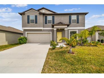 Photo one of 13614 Wild Ginger St Riverview FL 33579 | MLS T3508547