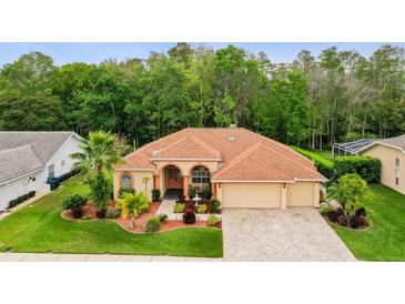 Photo one of 1642 Kinsmere Dr Trinity FL 34655 | MLS T3508672