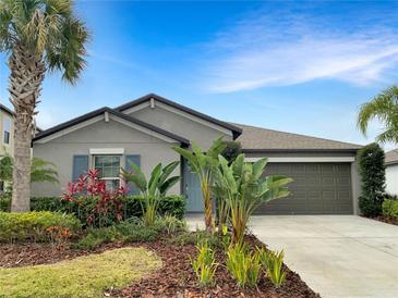 Photo one of 11105 Sage Canyon Dr Riverview FL 33578 | MLS T3508945