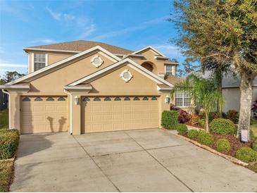 Photo one of 27133 Firebush Dr Wesley Chapel FL 33544 | MLS T3508993