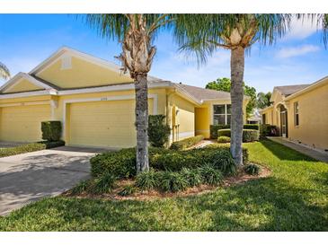 Photo one of 11579 Captiva Kay Dr Riverview FL 33569 | MLS T3509061
