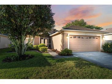 Photo one of 11906 Heritage Point Dr Hudson FL 34667 | MLS T3509182