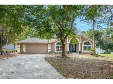 Photo one of 704 Rocky Mountain Ct Valrico FL 33594 | MLS T3510094