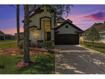 Photo one of 30750 Pumpkin Ridge Dr Wesley Chapel FL 33543 | MLS T3510200