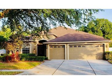 Photo one of 3209 Hanging Vine Ct Land O Lakes FL 34639 | MLS T3510491