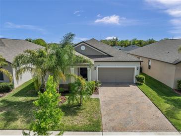 Photo one of 11449 Chilly Water Ct Riverview FL 33569 | MLS T3510547