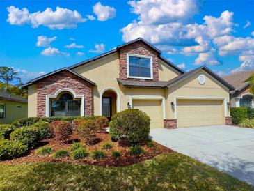Photo one of 6351 Sparkling Way Wesley Chapel FL 33545 | MLS T3510686