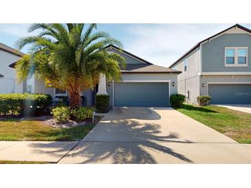 Photo one of 13929 Snowy Plover Ln Riverview FL 33579 | MLS T3510900