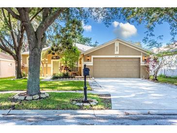 Tan one-story house with two-car garage and landscaping at 2634 Brookville Dr, Valrico, FL 33596