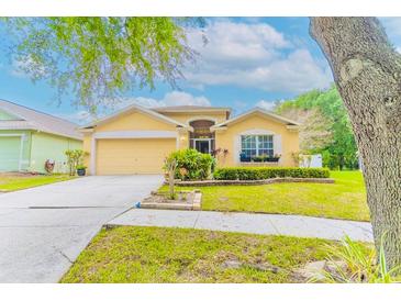 Photo one of 12832 Early Run Ln Riverview FL 33578 | MLS T3511352