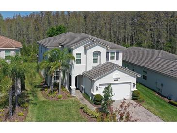 Photo one of 31030 Lindentree Dr Wesley Chapel FL 33543 | MLS T3511689