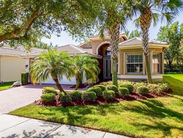 Photo one of 16016 Golden Lakes Dr Wimauma FL 33598 | MLS T3511963