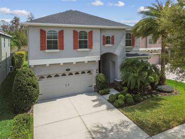 Photo one of 19303 Water Maple Dr Tampa FL 33647 | MLS T3512004