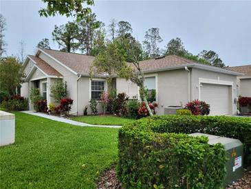 Photo one of 7217 Cleopatra Dr Land O Lakes FL 34637 | MLS T3512025