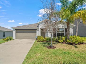 Photo one of 10517 Strawberry Tetra Dr Riverview FL 33578 | MLS T3512504