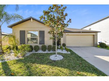 Photo one of 15447 Wicked Strong St Ruskin FL 33573 | MLS T3512619