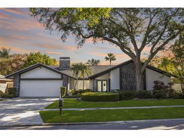 Photo one of 4117 Crosswater Dr Tampa FL 33615 | MLS T3513216