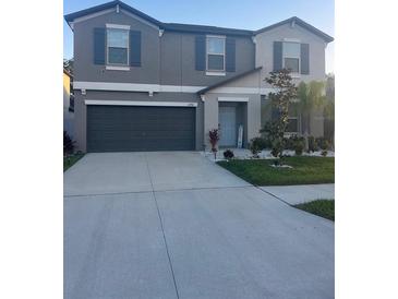 Photo one of 12941 Wildflower Meadow Dr Riverview FL 33579 | MLS T3513272