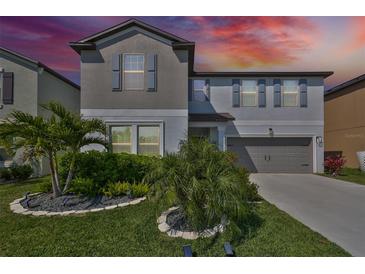 Photo one of 12959 Wildflower Meadow Dr Riverview FL 33579 | MLS T3513533