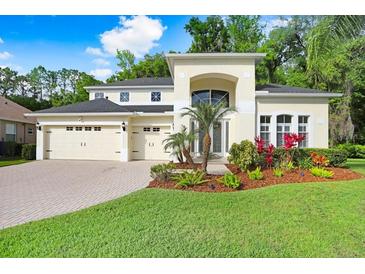 Photo one of 10541 Canary Isle Dr Tampa FL 33647 | MLS T3514631
