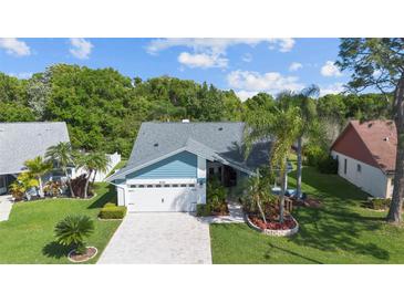 Photo one of 8723 Boysenberry Dr Tampa FL 33635 | MLS T3514656