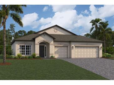 Photo one of 33258 Sycamore Leaf Dr Wesley Chapel FL 33545 | MLS T3514855