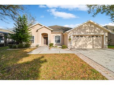 Photo one of 11806 Summer Springs Dr Riverview FL 33579 | MLS T3515028