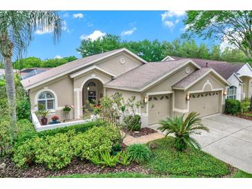 Photo one of 10119 Whisper Pointe Dr Tampa FL 33647 | MLS T3515036