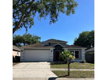 Photo one of 11303 Maybrook Ave Riverview FL 33569 | MLS T3515069