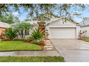 Photo one of 13152 Early Run Ln Riverview FL 33578 | MLS T3515209